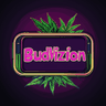Bud Vizion